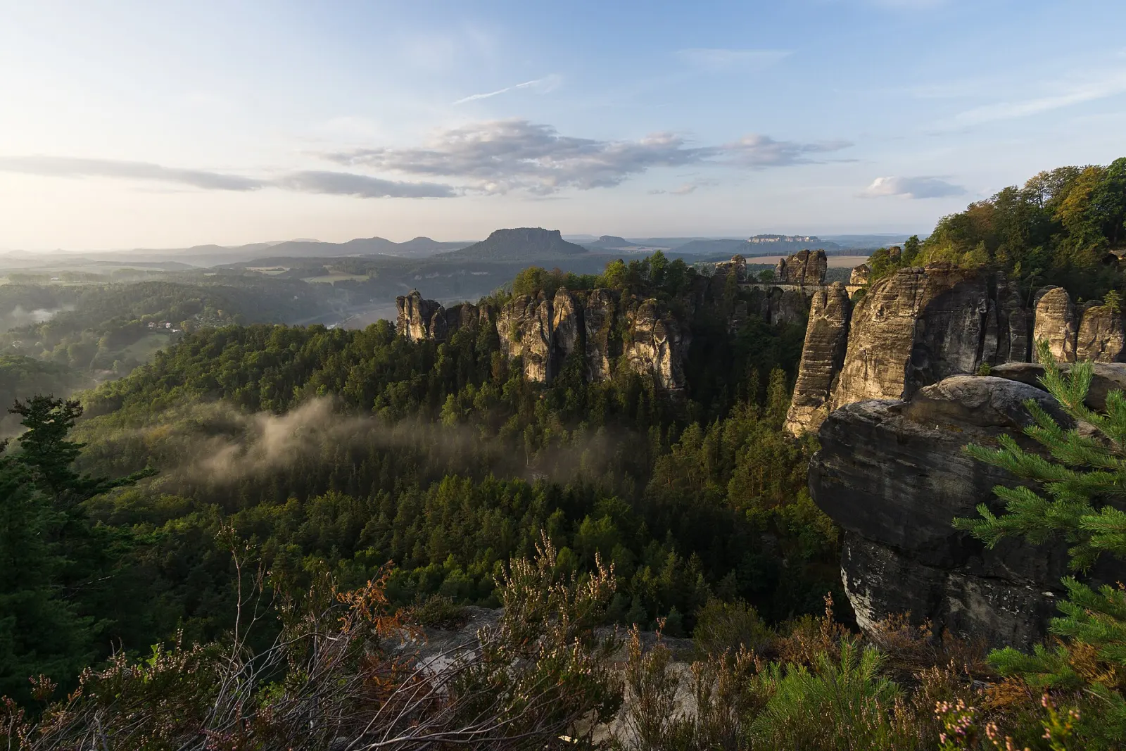 Bastei rocks in morning mist